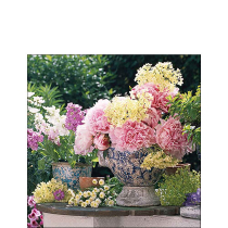 Napkin 25 Potted flowers FSC Mix