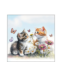 Napkin 25 Kittens in flower field FSC Mix