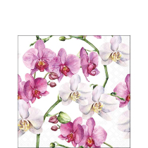 Napkin 25 Elegant orchids white FSC Mix