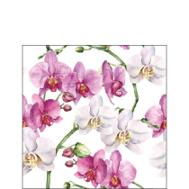 Napkin 25 Elegant orchids white FSC Mix