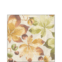 Napkin 25 Castanea FSC Mix
