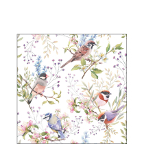 Napkin 25 Busy birds FSC Mix