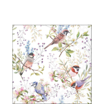 Napkin 25 Busy birds FSC Mix