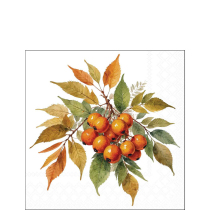Napkin 25 Sea buckthorn bunch FSC Mix
