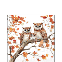 Napkin 25 Family of owls FSC Mix
