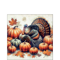 Napkin 25 Turkey FSC Mix