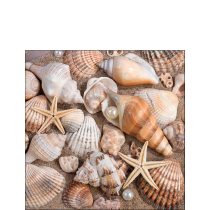 Napkin 25 Sea shells FSC Mix