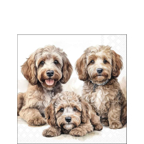 Napkin 25 Labradoodles FSC Mix