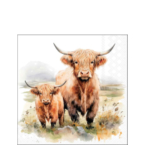 Napkin 25 Highland cows FSC Mix