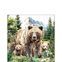 Napkin 25 Grizzly bears FSC Mix