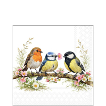 Napkin 25 Bird friends FSC Mix