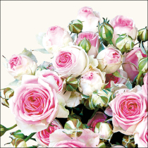 Napkin 33 Maxima cream FSC Mix
