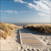 Napkin 33 Walking to the sea FSC Mix