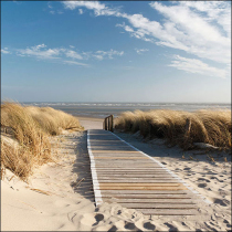 Napkin 33 Walking to the sea FSC Mix