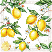 Napkin 33 Citrus FSC Mix