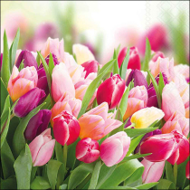 Napkin 33 Glorious tulips FSC Mix