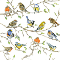 Napkin 33 Birds meeting FSC Mix