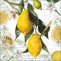 Napkin 33 Lemon FSC Mix