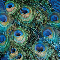Napkin 33 Peacock feathers FSC Mix