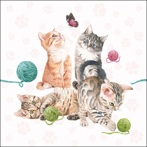 Napkin 33 Playing kitten FSC Mix