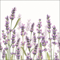 Napkin 33 Lavender shades white FSC Mix