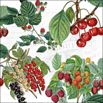Napkin 33 Fresh fruits FSC Mix