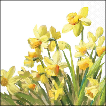 Napkin 33 Golden daffodils FSC Mix