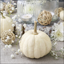 Napkin 33 Modern pumpkin FSC Mix
