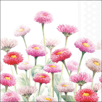 Napkin 33 Painted bellis FSC Mix