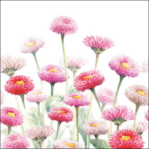 Napkin 33 Painted bellis FSC Mix