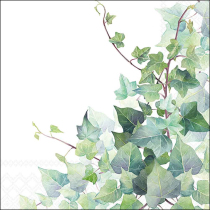 Napkin 33 Hedera white FSC Mix