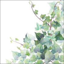 Napkin 33 Hedera white FSC Mix