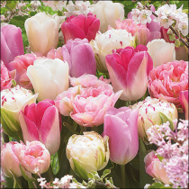 Napkin 33 Pink tulips FSC Mix