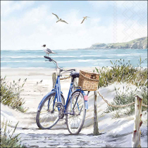 Napkin 33 Bike at the beach FSC Mix
