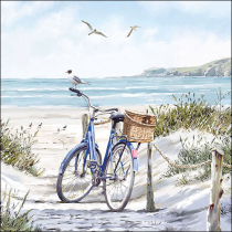 Napkin 33 Bike at the beach FSC Mix