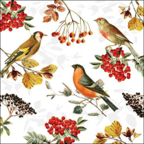 Napkin 33 Autumn birds FSC Mix