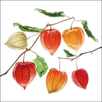 Napkin 33 Lampion flower FSC Mix