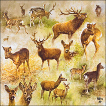 Napkin 33 Collage of deers FSC Mix