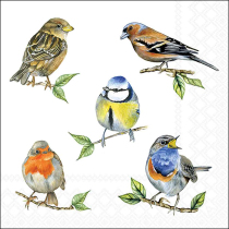 Napkin 33 Bird species white FSC Mix