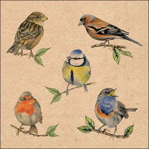 Napkin 33 Recycled Bird species nature FSC Mix