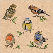 Napkin 33 Recycled Bird species nature FSC Mix