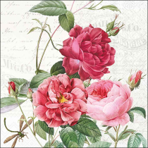 Napkin 33 Amber FSC Mix