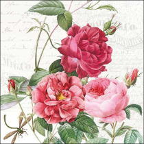 Napkin 33 Amber FSC Mix