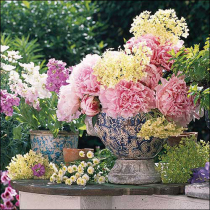 Napkin 33 Potted flowers FSC Mix