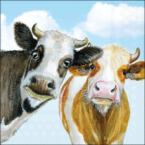 Napkin 33 Alma and Bella FSC Mix