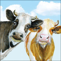 Napkin 33 Alma and Bella FSC Mix