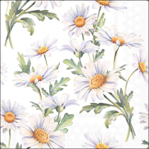 Napkin 33 Beautiful daisies white FSC Mix