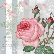 Napkin 33 Yara FSC Mix