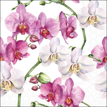 Napkin 33 Elegant orchids white FSC Mix
