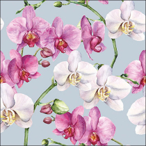 Napkin 33 Elegant orchids blue FSC Mix